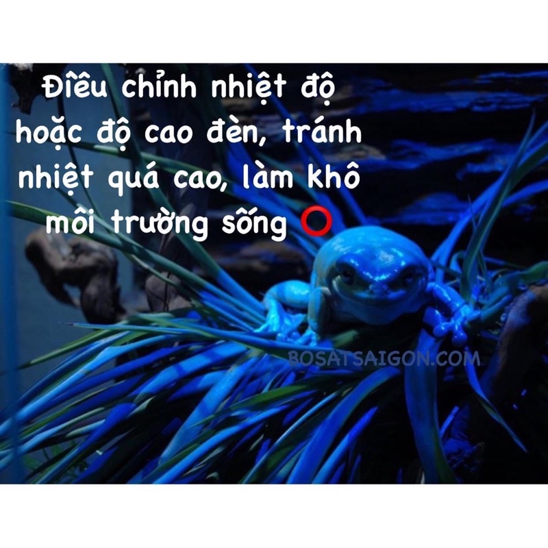 Đèn SƯỞI ẤM ĐÊM 75W giá sỉ, CHO BÒ SÁT, RỒNG NAM MỸ, RÙA NƯỚC, SULCATA, NÚI VÀNG. GIÁ RẼ NHẤT. Chính hãng EXO TERRA.