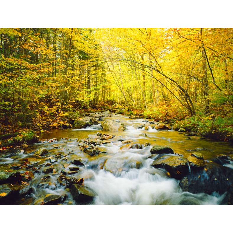 Tranh dán tường 3D cảnh thác nước hùng vỹ khiến bất kỳ du khách nhìn cũng phải trầm trồ kinh ngạc