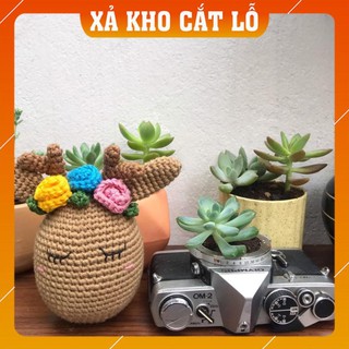 [Xả Hàng] Cặp trứng hoa - Quà tặng lễ Phục Sinh - Made By Bunny