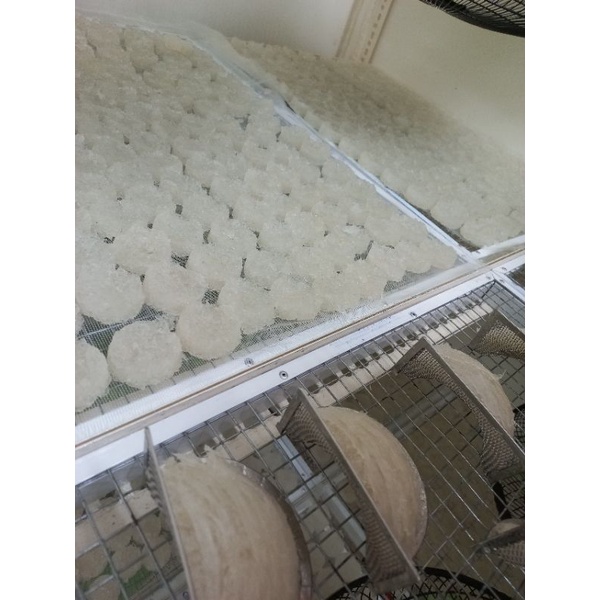 5 khuôn inox 304 đắp tổ yến 10g