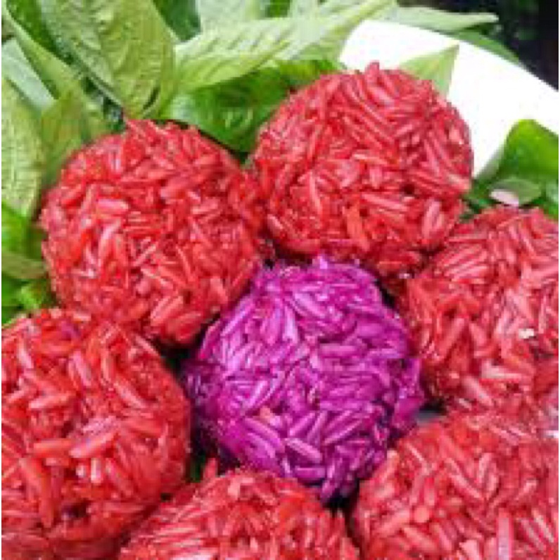 Combo 4 cây lá Cẩm