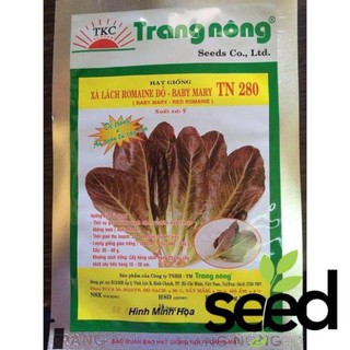 Hạt giống xà lách đăm, đỏ xoăn, xà lách mixed, romain tím 2 gram