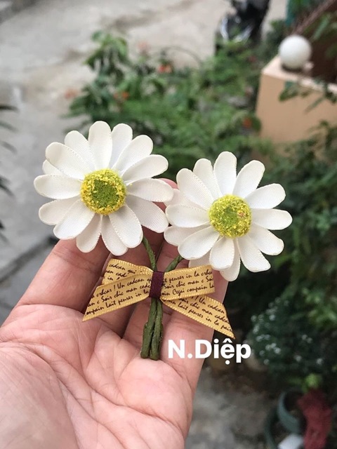Hoa cài áo Cúc hoạ mi