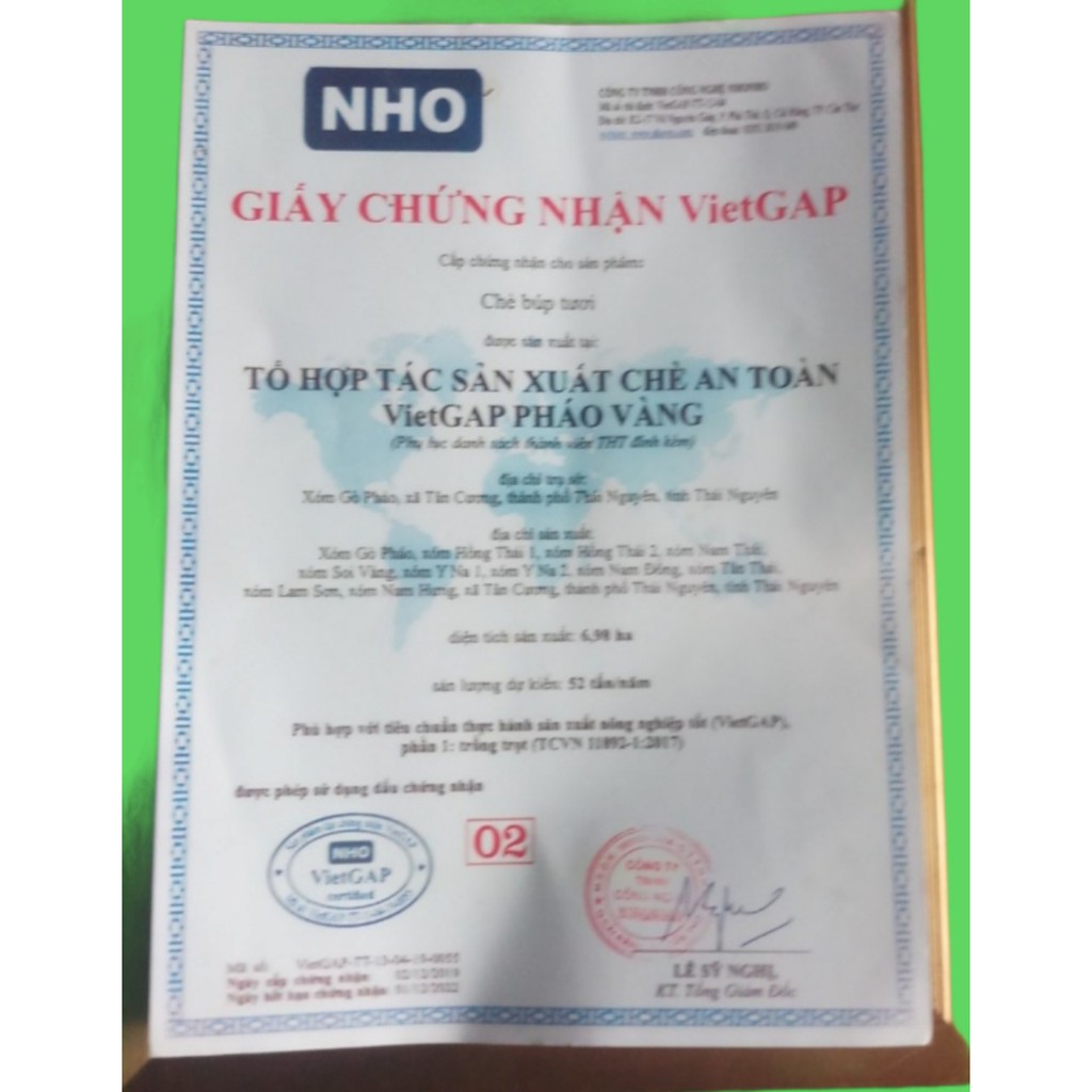 200g Trà Tân Cương đặc sản chè búp Thái Nguyên loại 2 | BigBuy360 - bigbuy360.vn