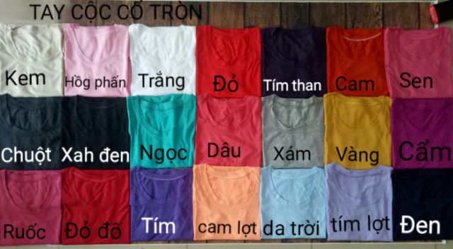 ÁO PHÔNG COTTON GIẤY