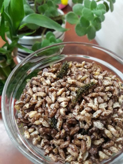 Gạo lứt rong biển 500gr | BigBuy360 - bigbuy360.vn