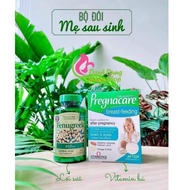 COMBO CỎ LỢI SỮA --- 610MG--- VÀ VITAMIN BÚ PREGNACARE LỢI SỮA UK