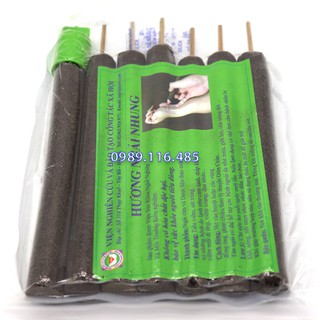 Điếu Ngải Diện Chẩn - Ngải Nhung