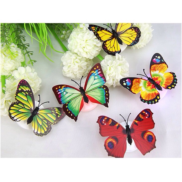 Bướm 3D có đèn