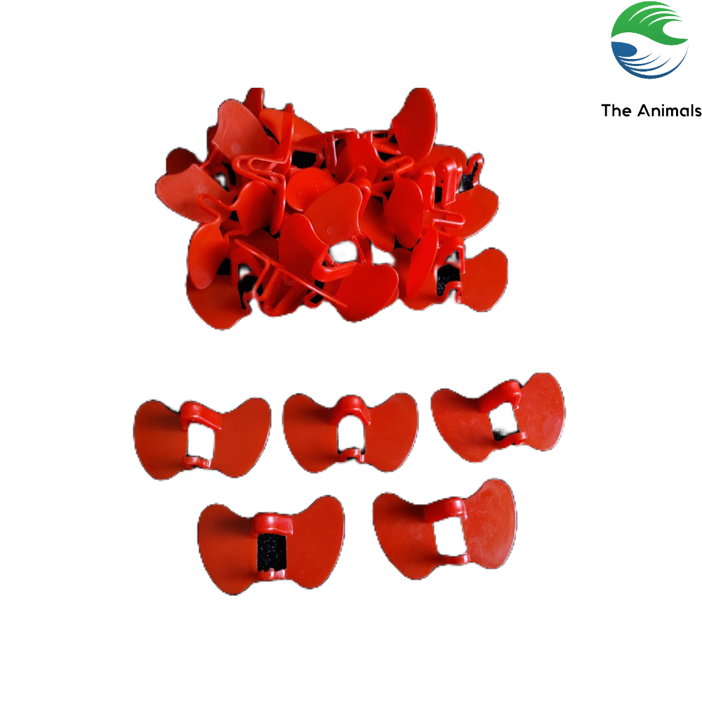 Set 50 cái Kính chống cắn mổ ở gà
