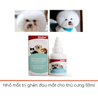 nhỏ mắt cho thú cưng