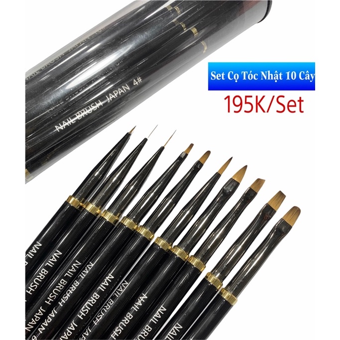 Set Cọ Nhật 10 Cây