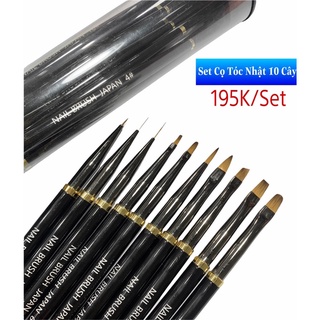 Set cọ nhật 10 cây