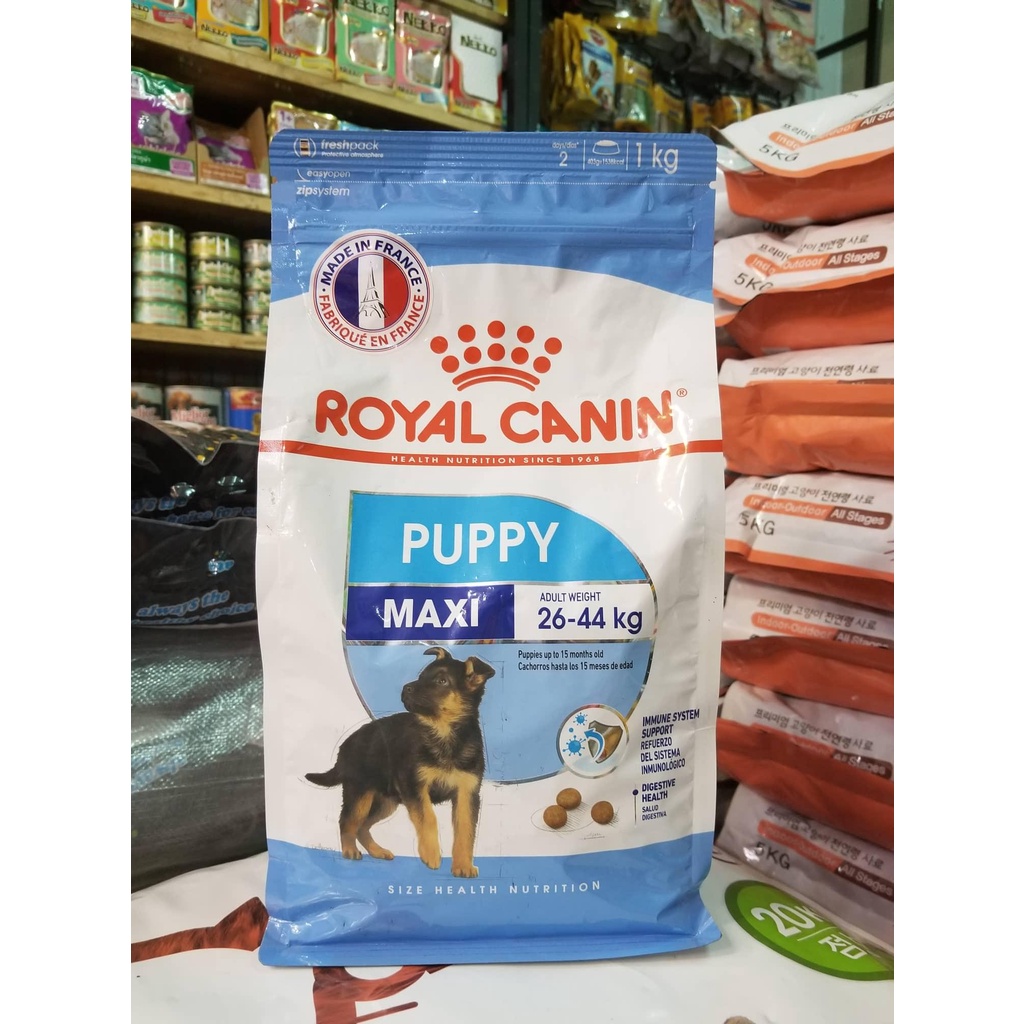 10kg - Hạt chó cỡ lớn Maxi Puppy Royal Canin dành cho Chó con giống lớn khi trưởng thành nặng 26 - 44kg