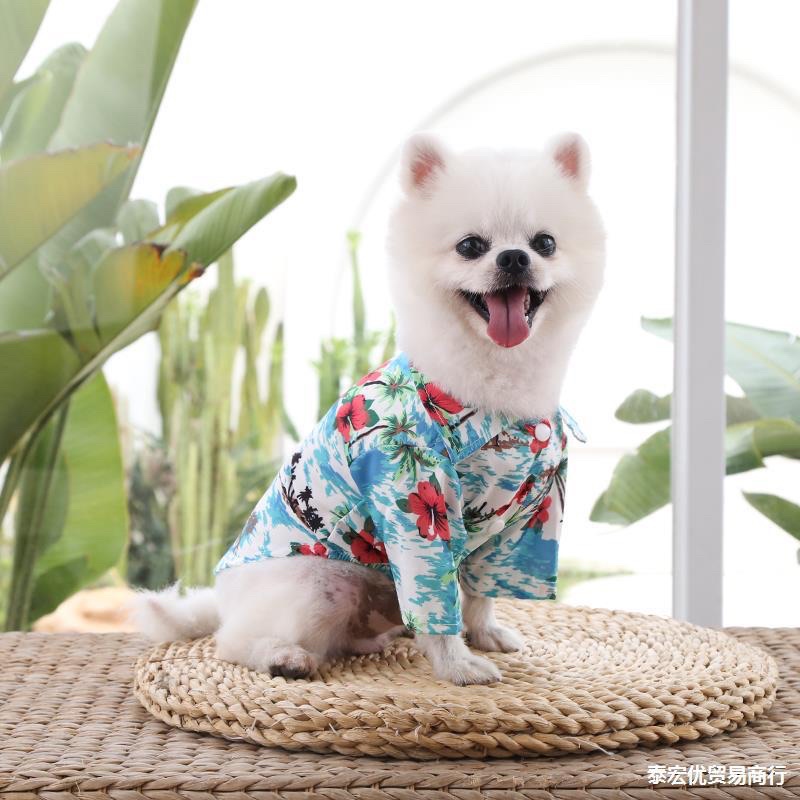 Áo kiểu thời trang cho chó mèo - áo sơ mi hawaii cực cool cho chó mèo có size từ S đến 2XL