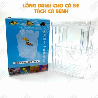Lồng ép cá đẻ, tách cá bệnh, dưỡng cá bằng nhựa mica 7x7x11