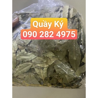 Lá thơm/lá nguyệt quế khô 100gr - 500gr