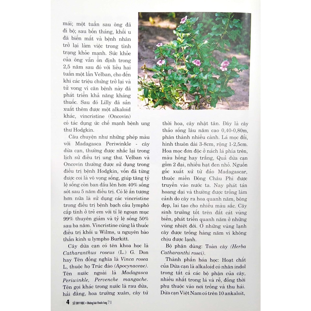 Sách Sổ Tay Y Học - Những Bài Thuốc Hay 71