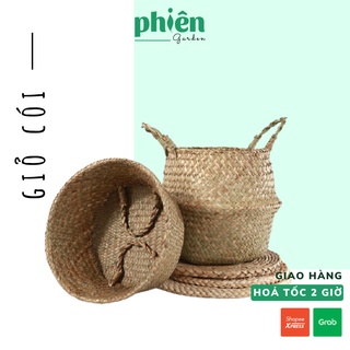 Giỏ cói đựng cây, trang trí Vintage