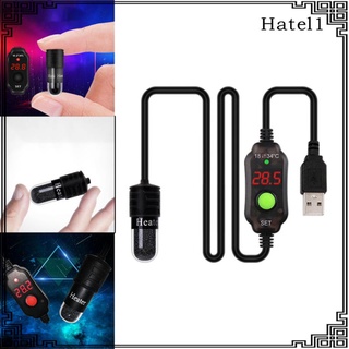 Thiết bị sưởi ấm mini cho bể cá
