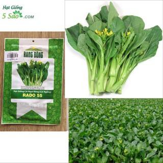 Cải Ngọt Bông ( Cải Ngồng ) RĐ 55