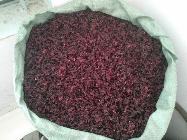 Trà Hoa Atiso đỏ, bụp giấm 100gram + Tặng 10 hạt giống Atiso đỏ | BigBuy360 - bigbuy360.vn