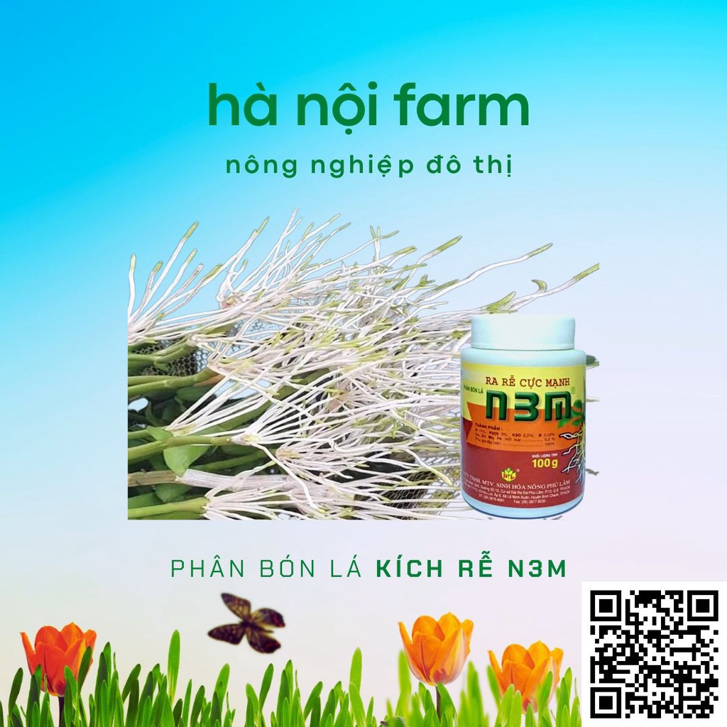 N3M kích ra rễ dạng bột,Kích thích ra rễ cực mạnh- kích thích ra rễ, nảy mầm…- hũ100g