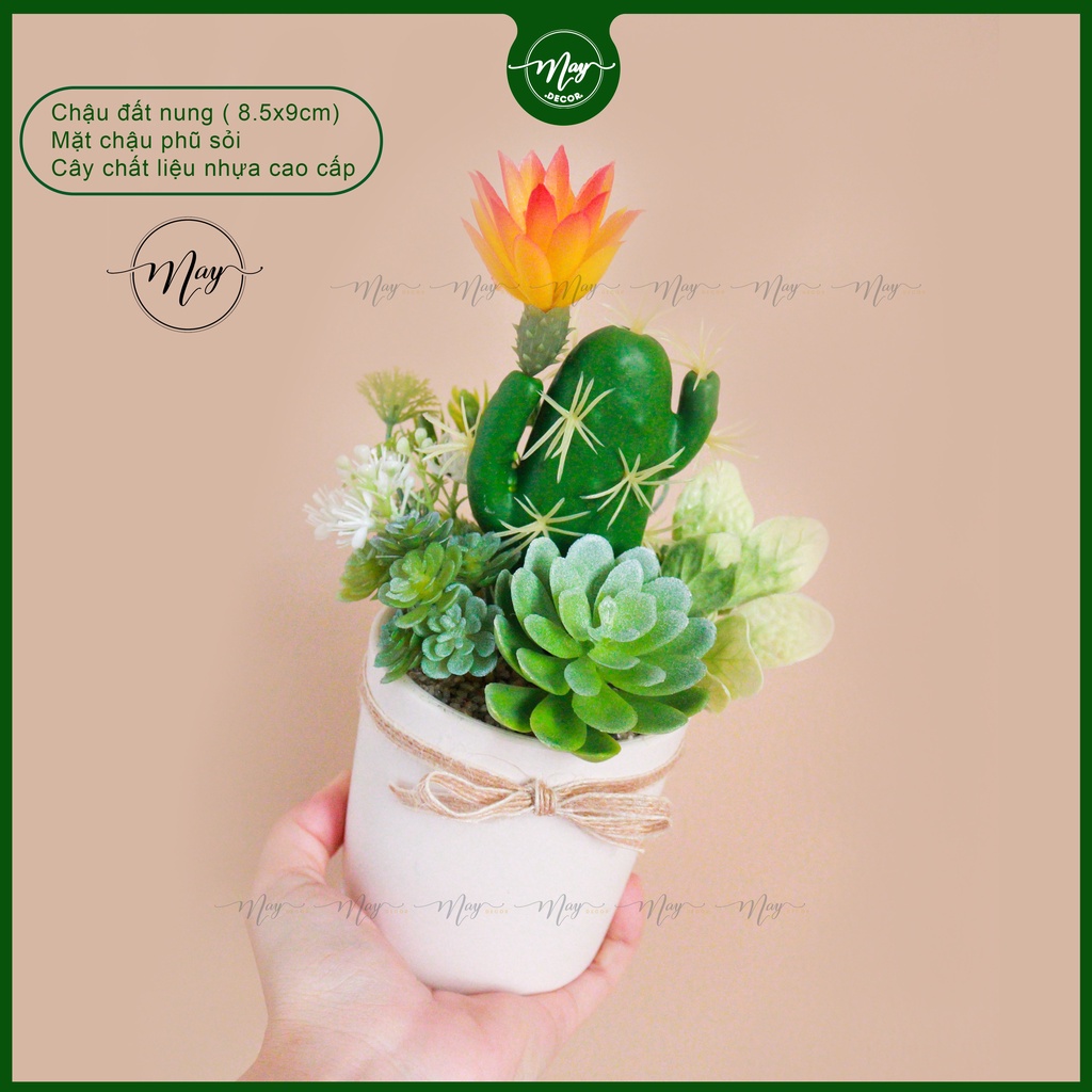 Chậu xương rồng giả hoa cam giả cao cấp trang trang trí nhà cửa