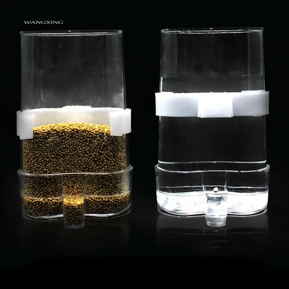 Bát Uống Nước Tự Động Cho Vẹt Cưng