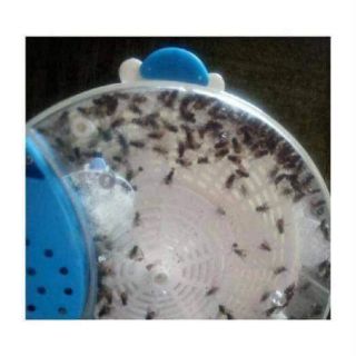 MÁY BẮT RUỒI THÔNG MINH