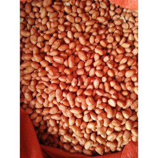 (Sỉ-lẻ)  ĐỖ LẠC SỐNG NHÀ TRỒNG 500g-1kg