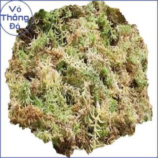 Rêu rừng trồng lan 200g