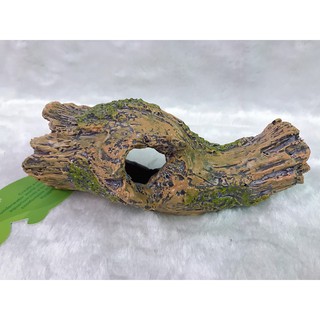 Trang Trí Bể Cá Cảnh Hình Gốc Cây