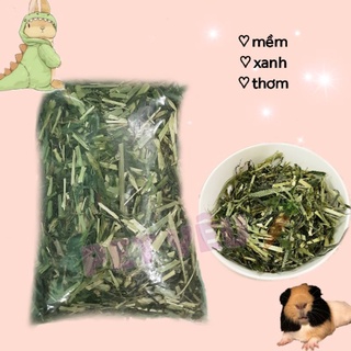Cỏ lúa mạch siêu thơm mới và xanh ❤️ FREESHIP❤️ thức ăn thỏ bọ chinchilla chuột lang