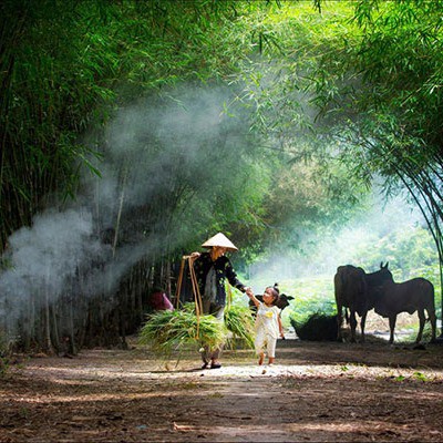 Nông Sản sạch 76