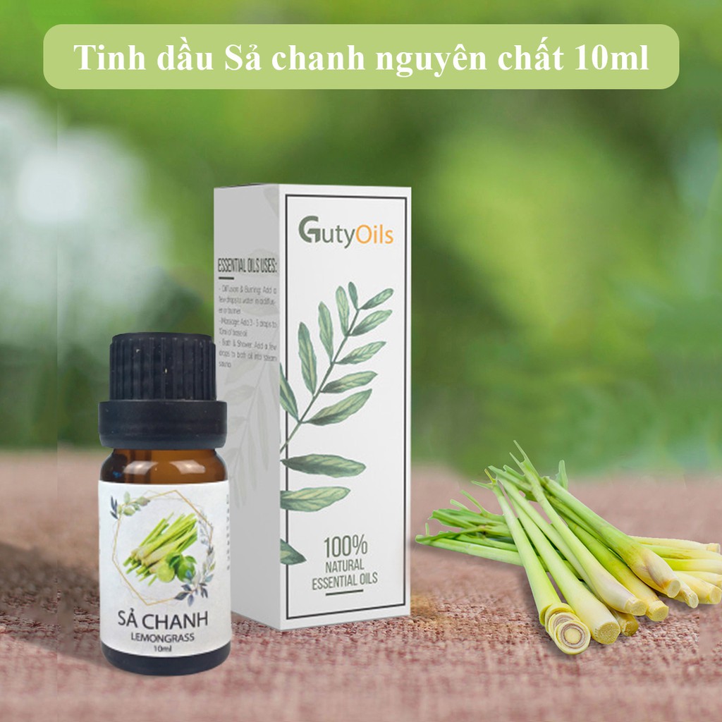 Tinh dầu sả chanh nguyên chất Guty Oils dùng để xông phòng, đuổi muỗi, đuổi côn trùng, khử mùi, giảm stress - Lọ 10ml
