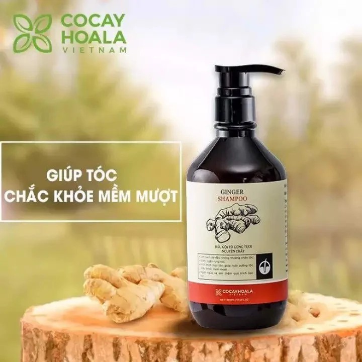 [SALE SẬP SÀN] Chai dầu gội Gừng tươi hữu cơ Cỏ cây hoa lá (500ml)