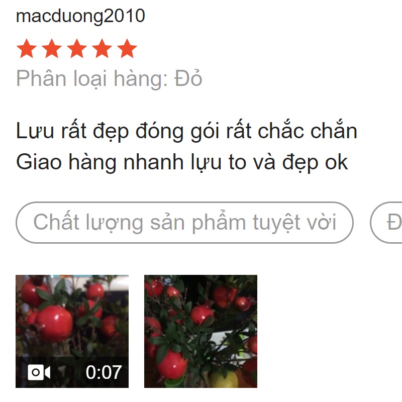 Hoa Giả - Cành Lựu giả 80cm trang trí nhà cửa sang trọng, mang lại sự may mắn