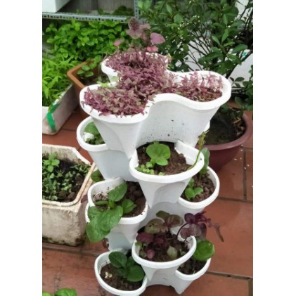 Tháp trồng cây trồng rau hữu cơ 5 tầng