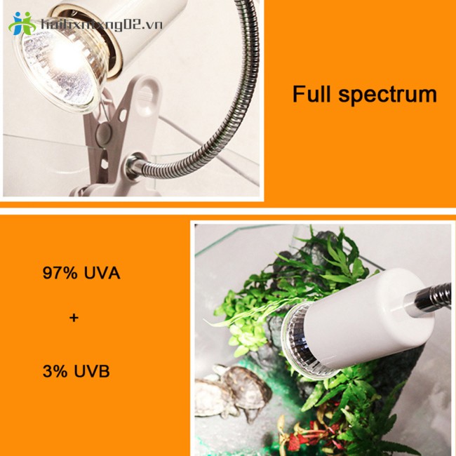 Đèn Sưởi Ấm Thú Cưng Bò Sát Uva + Uvb3.0 110v