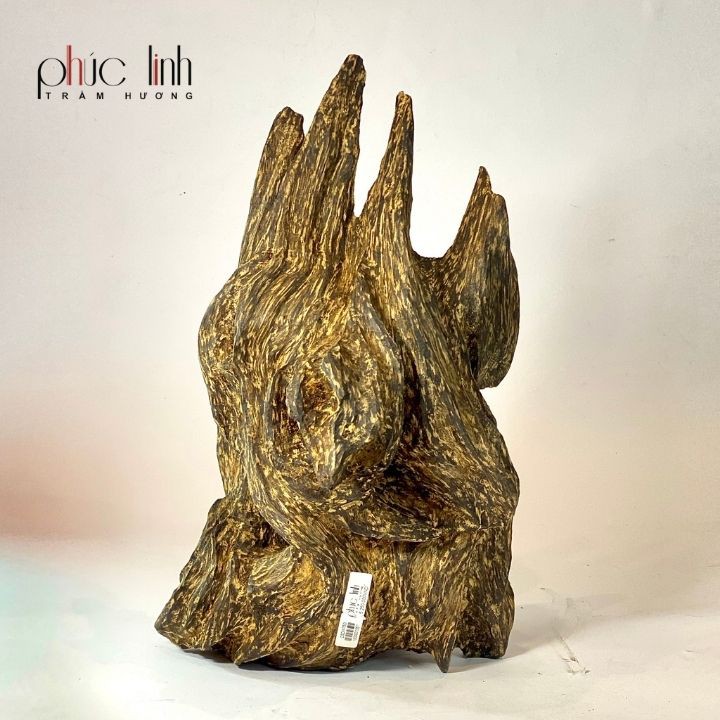 Cây Trầm Cảnh Nấu Dầu PHÚC LINH