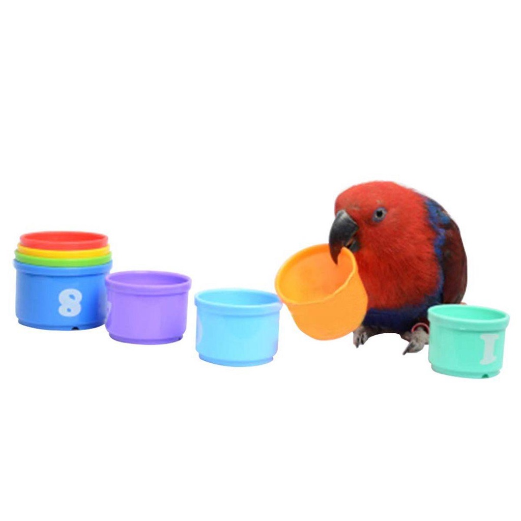 Đồ Chơi Cốc Xếp Chồng Tương Tác Vui Nhộn Cho Chim Cảnh