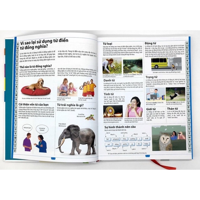 Sách - Từ Điển Đồng Nghĩa Dành Cho Trẻ Em - Children's Illustrated Thesaurus