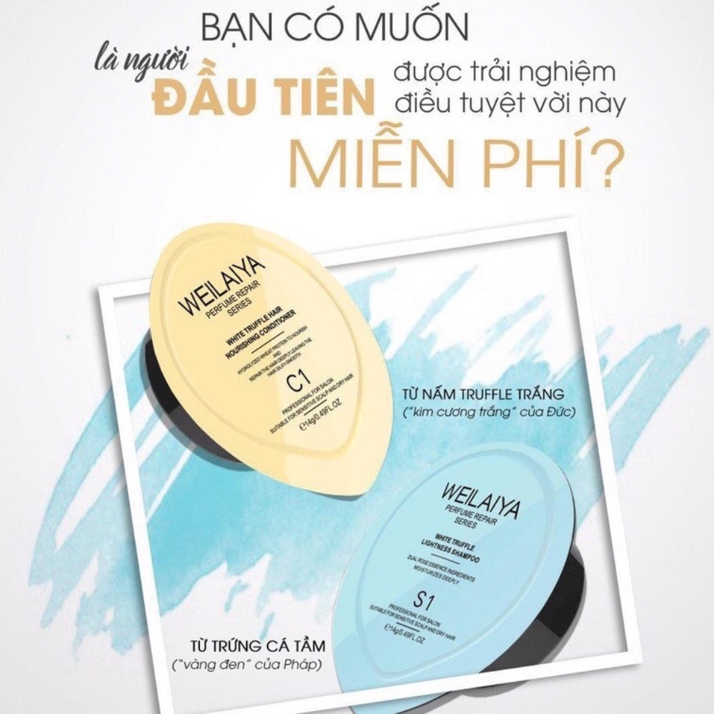 Dầu Gội Phục Hồi Tóc Chiết Xuất Nấm Truffle Weilaiya, Sạch Gàu, Mềm Mượt, Phục Hồi Hư Tổn Tóc [ CẶP SIZE MINI ]
