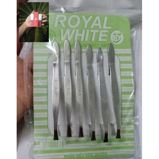 Sỉ 6 cây nhíp nhổ lông mày