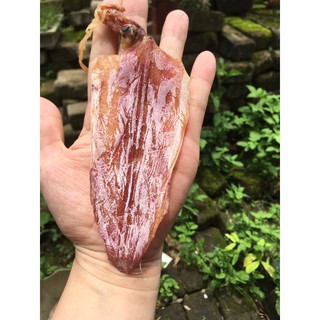 Mực khô vân đồn quảng ninh size 60-65 con\1kg 1kg
