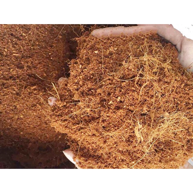 500g Xơ dừa đã xử lý