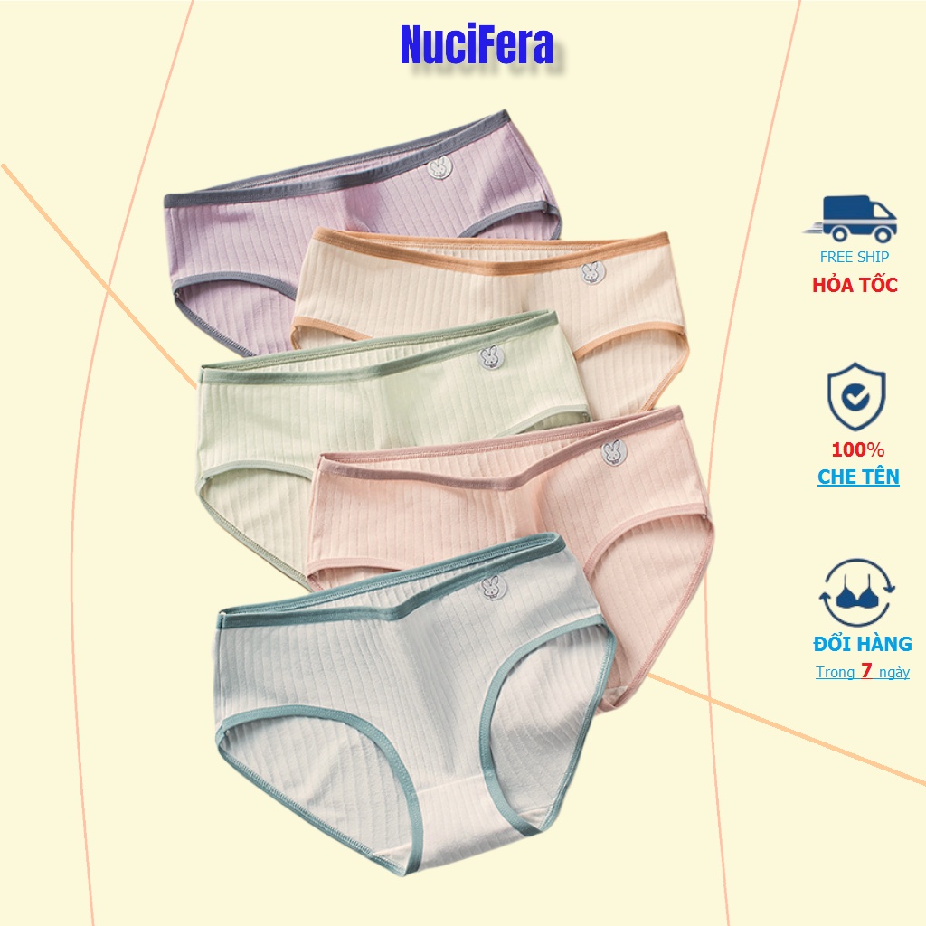 Quần lót nữ cotton thun gân kháng khuẩn mẫu mới nhiều màu_NuciFera