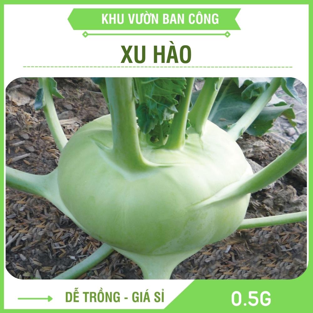 Hạt Giống Xu Hào Xanh Cao Sản Gói 0.5G - Khu Vườn Ban Công