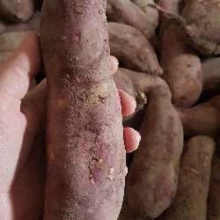 khoai lang nhật 1kg